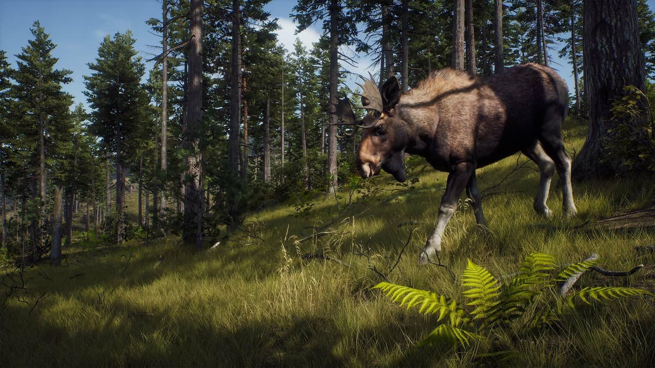 Way of the Hunter screenshot 2