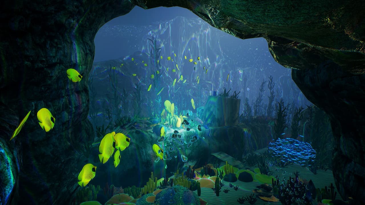 Oceans We Make