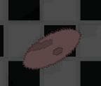 S.O.P screenshot 3