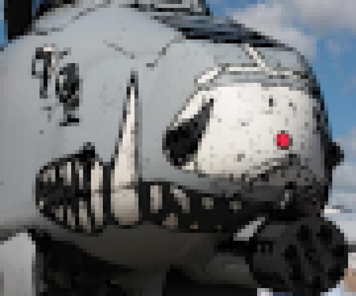 BRRRRRT Life