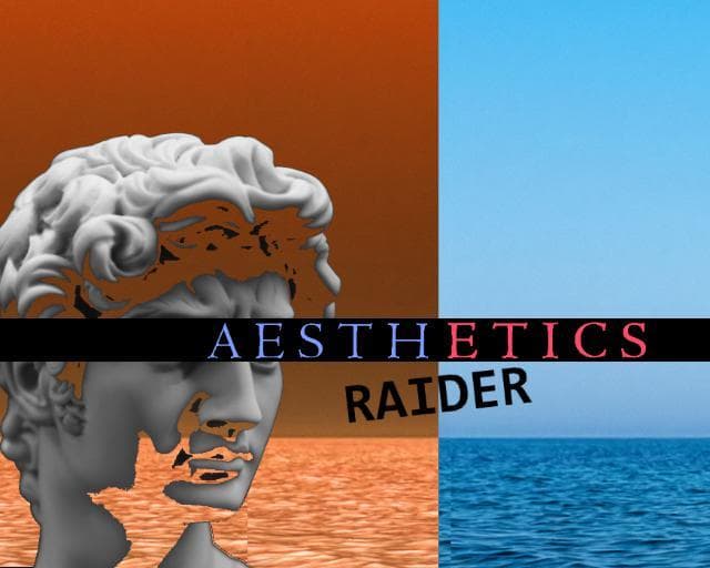 aesthetics raider