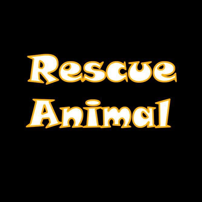 Rescue Animal