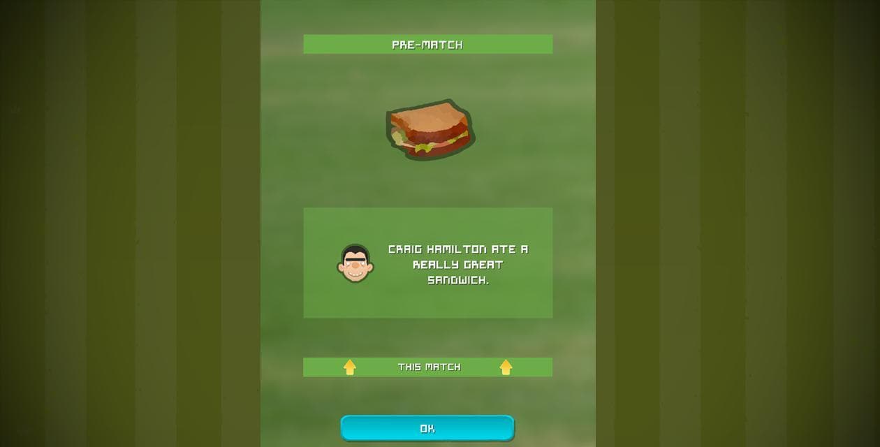 Village Cricket screenshot 3