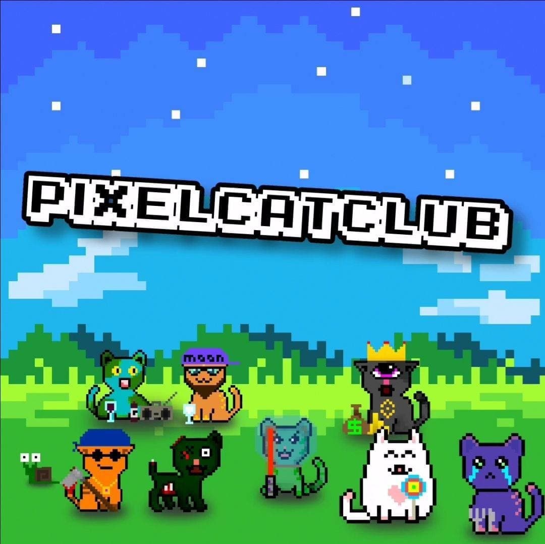 Pixel Cat Club