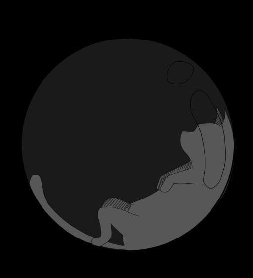 Soundless Wakening