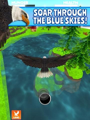Virtual Pet Eagle screenshot 3