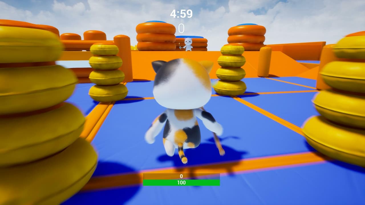 Kittycatch