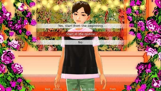 FANTASTIC POOR VISUAL NOVEL