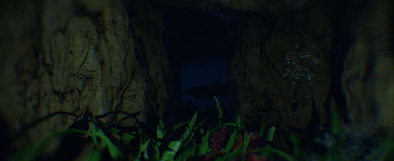Iruka Iru Ka screenshot 3