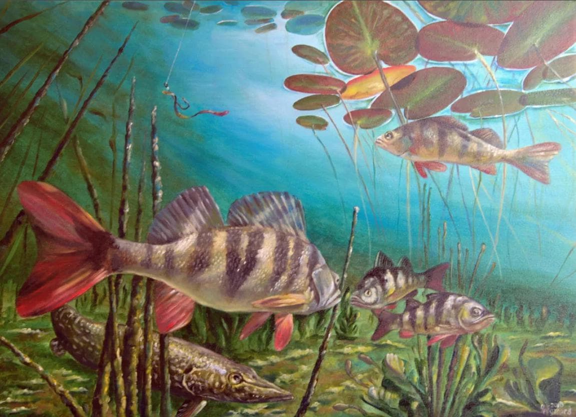 Real fishing screenshot 3