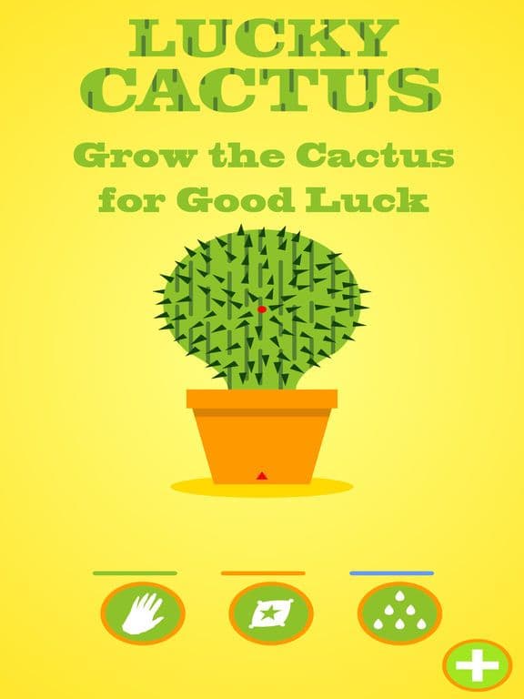 Lucky Cactus Grow