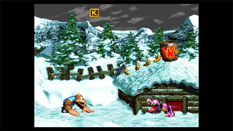 Donkey Kong Country 3: Dixie Kongs Double Trouble screenshot 4