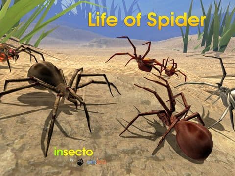 Life Of Spider