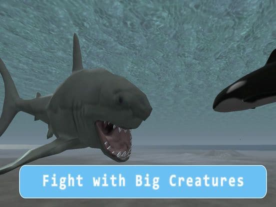 Orca Killer Whale Survival Simulator 3D - Play as orca, big ocean predator! screenshot 3