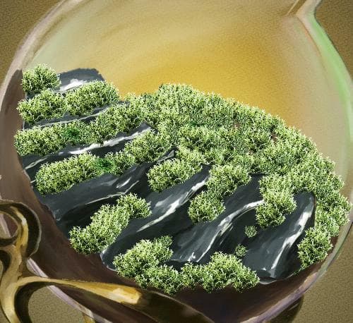 MossMuss