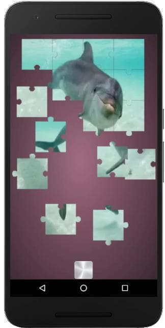 Real Dolphins Game: Jigsaw Puzzle 2019 screenshot 4
