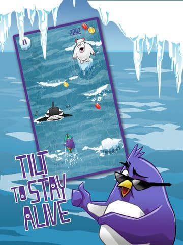 Extreme Penguin Surfing Adventure Crush screenshot 2