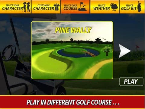 Professional Golf Play - Pro
