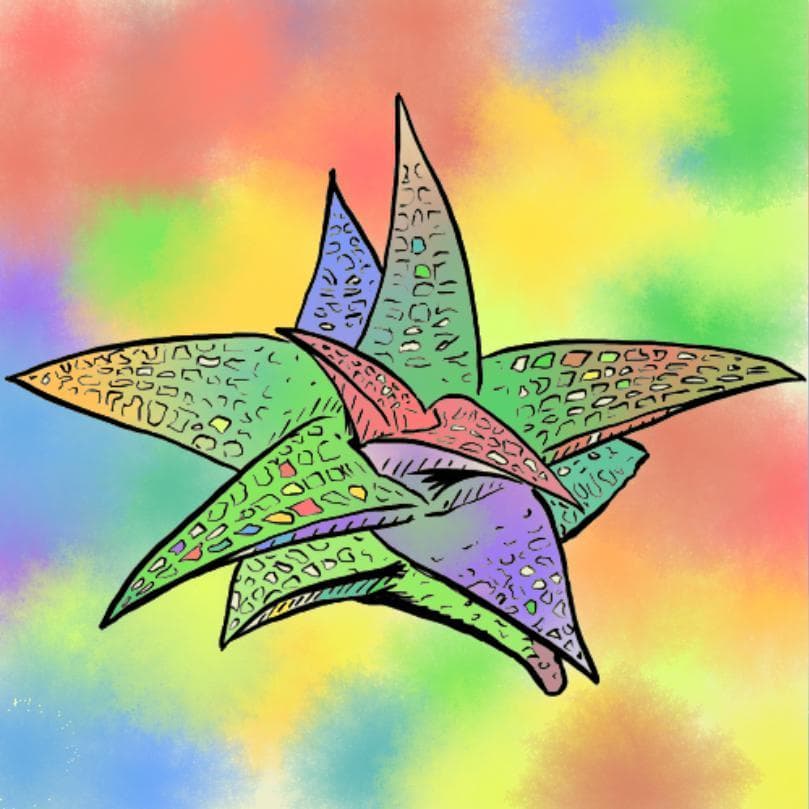 Meditations DreamColour Concept