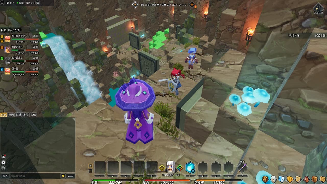Dragon And Home