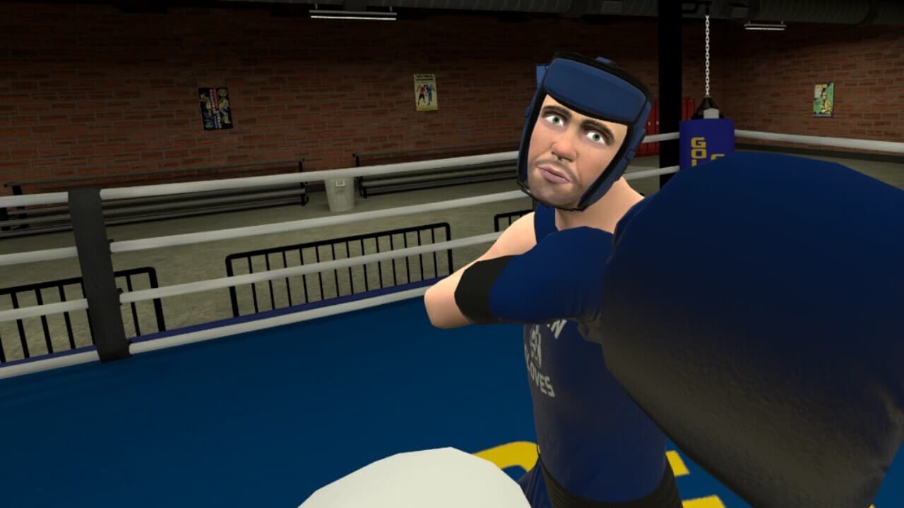 Golden Gloves VR screenshot 2