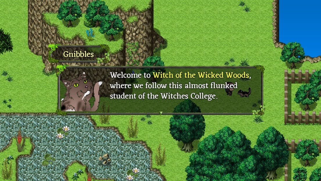 Witch of the Wicked Woods