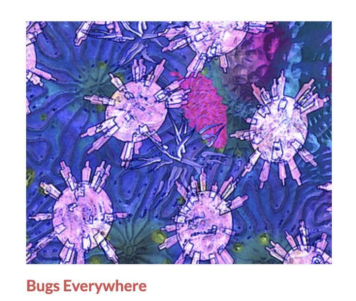 Bugs Everywhere