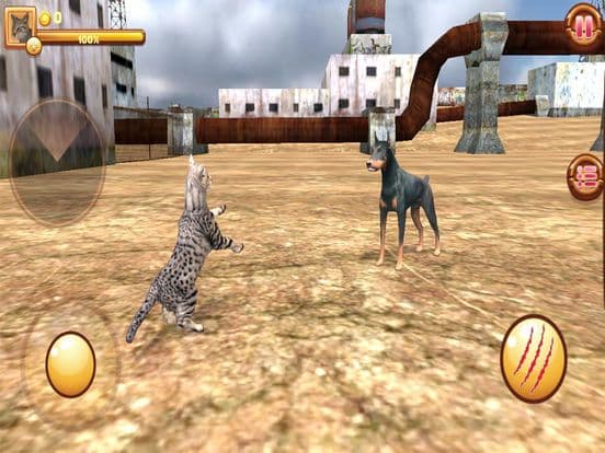 Homeless Cat Simulator screenshot 3