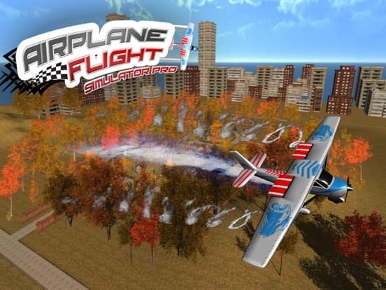 Airplane Flight Simulator Pro screenshot 2