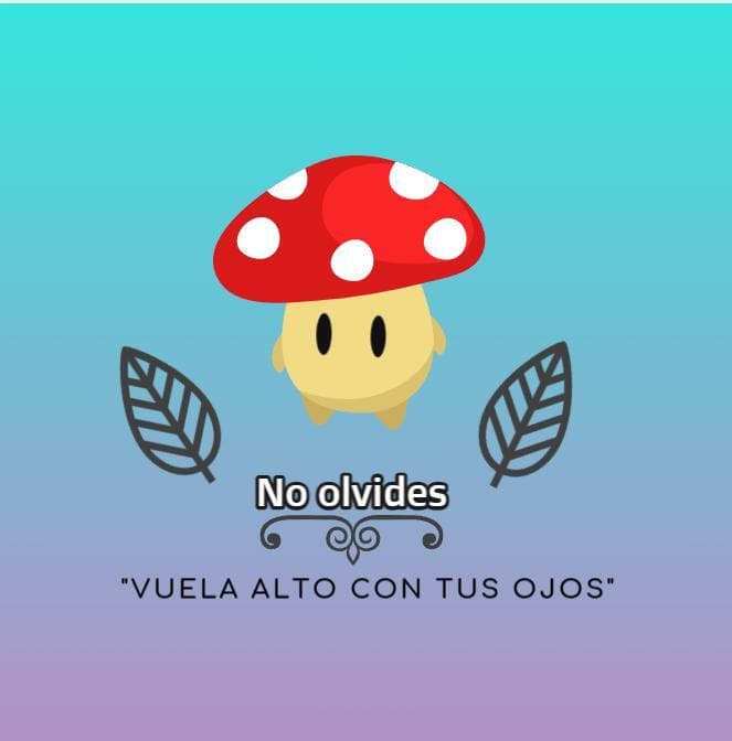 No olvides mobile