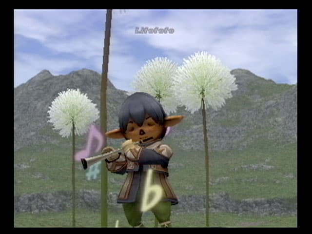 Final Fantasy XI screenshot 3
