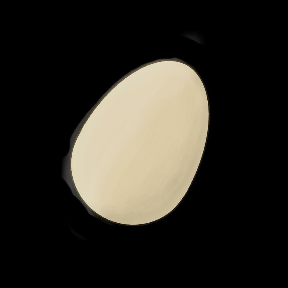EGG Fall