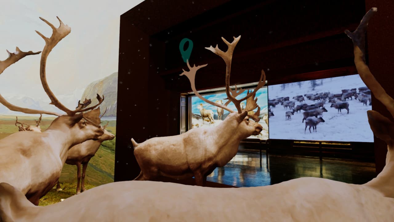 Beyond The Diorama: Caribou World screenshot 3