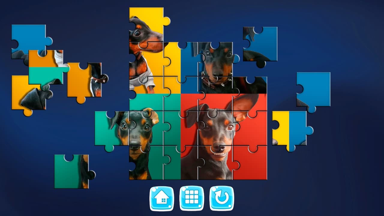 MY DOG! screenshot 2