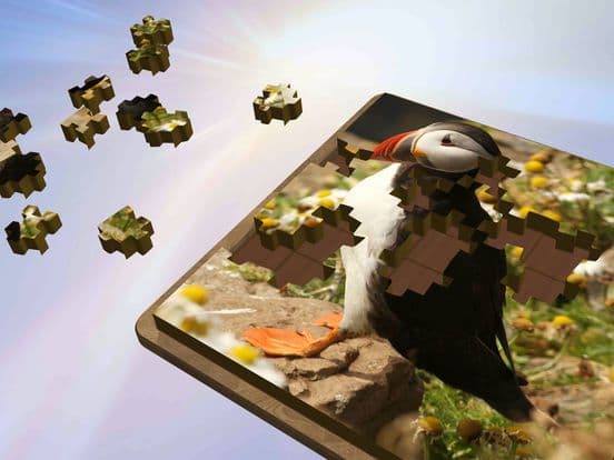 Super Jigsaws Birds