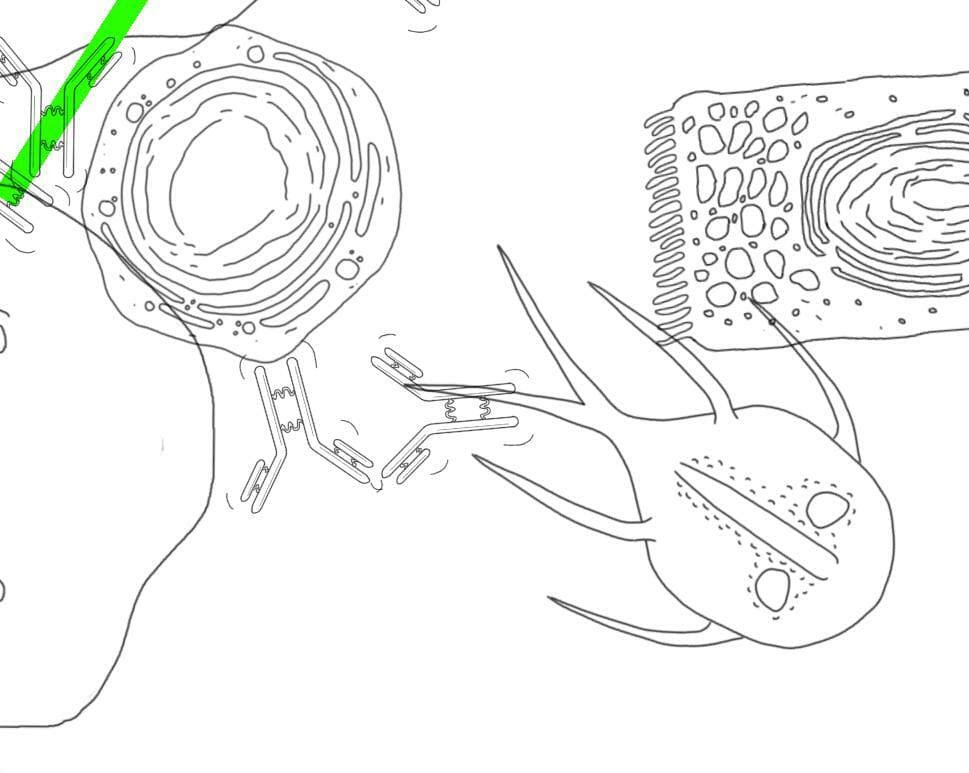 Giardia Adventures