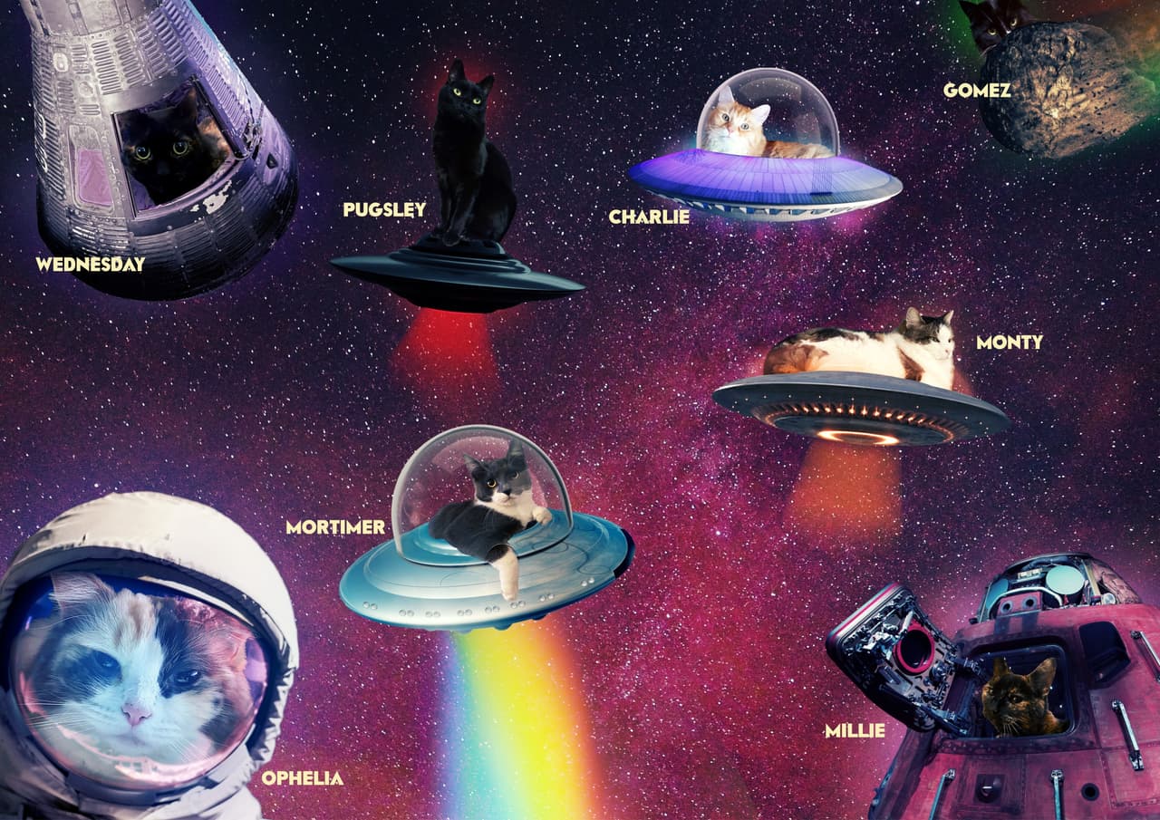 Space Taxi (V.F.) screenshot 2