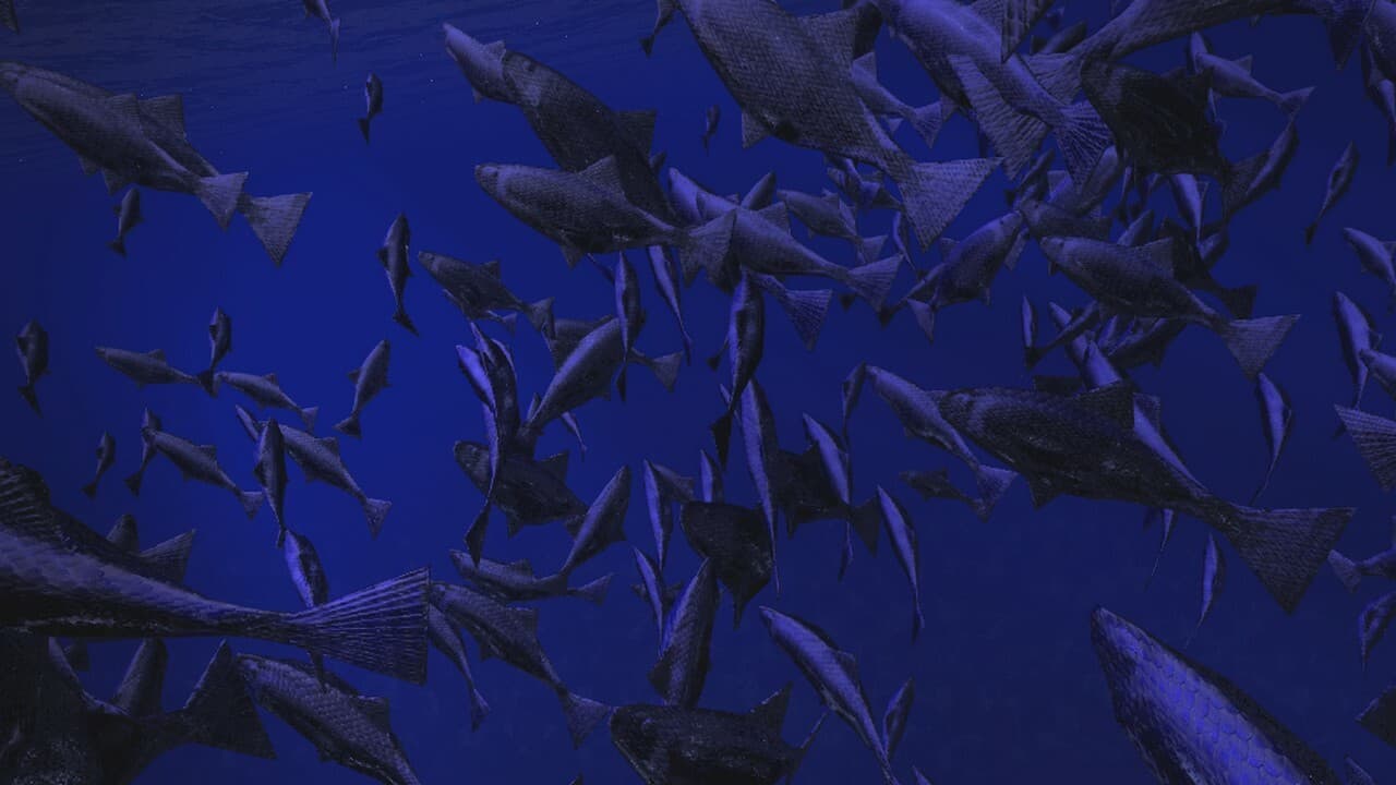 Be a Fish - VR Simulator