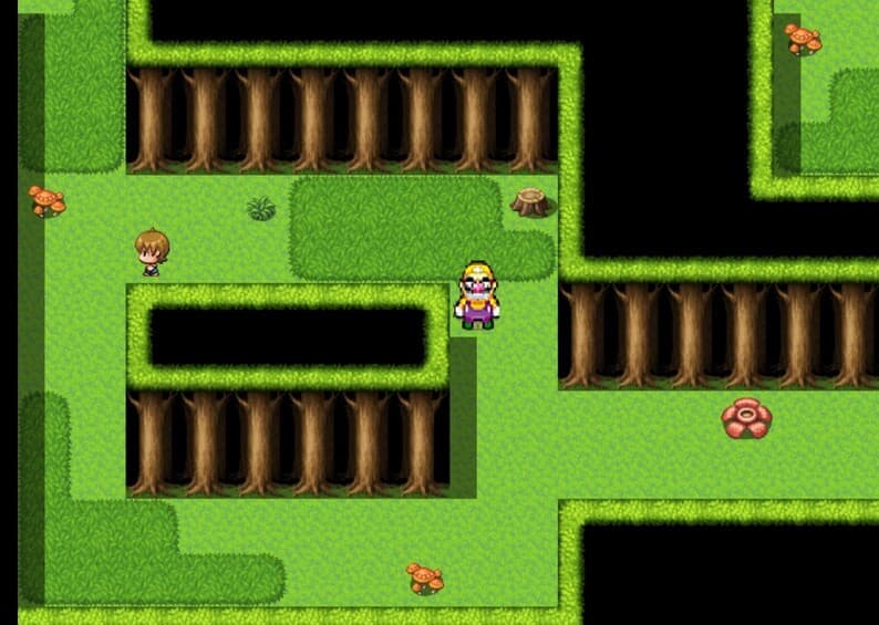 Wario in Generic RPG 1st Anniversary Edition