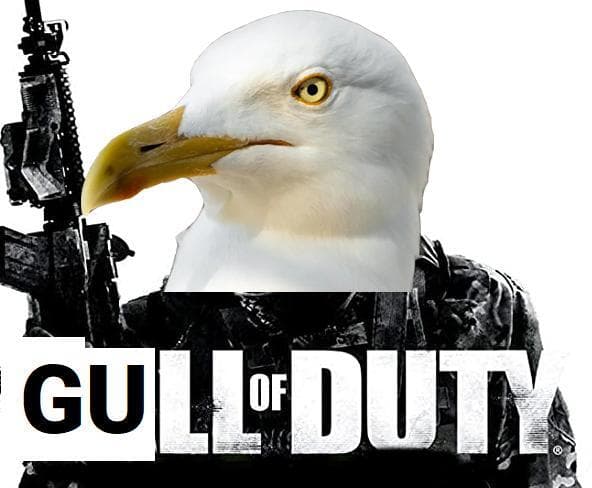 Gull of Duty screenshot 2
