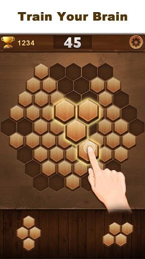Wood Block Hexagon screenshot 4