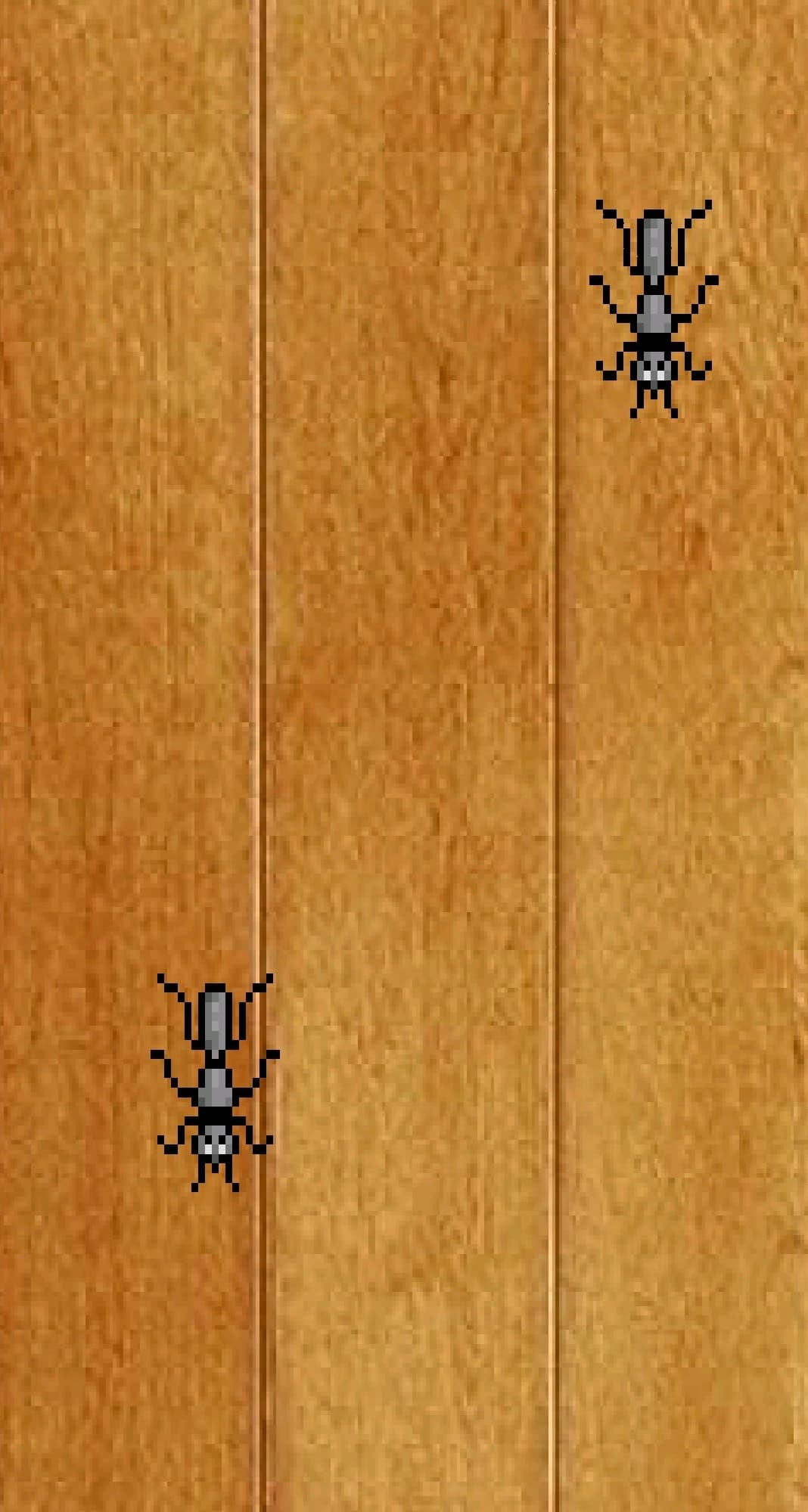 Ant Smasher (itch)