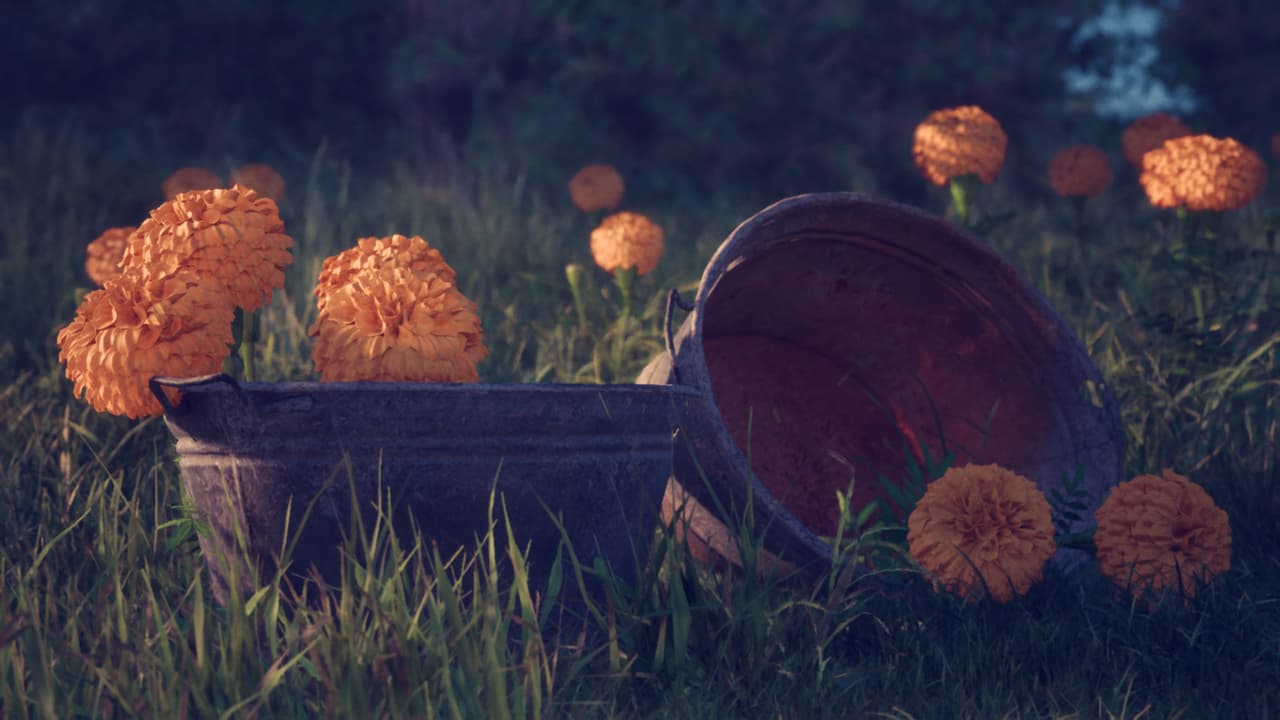 Petals (Petals Game) screenshot 3