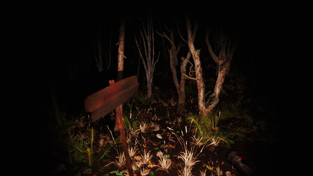V696 screenshot 2