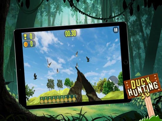 Duck Hunting Sport 3D