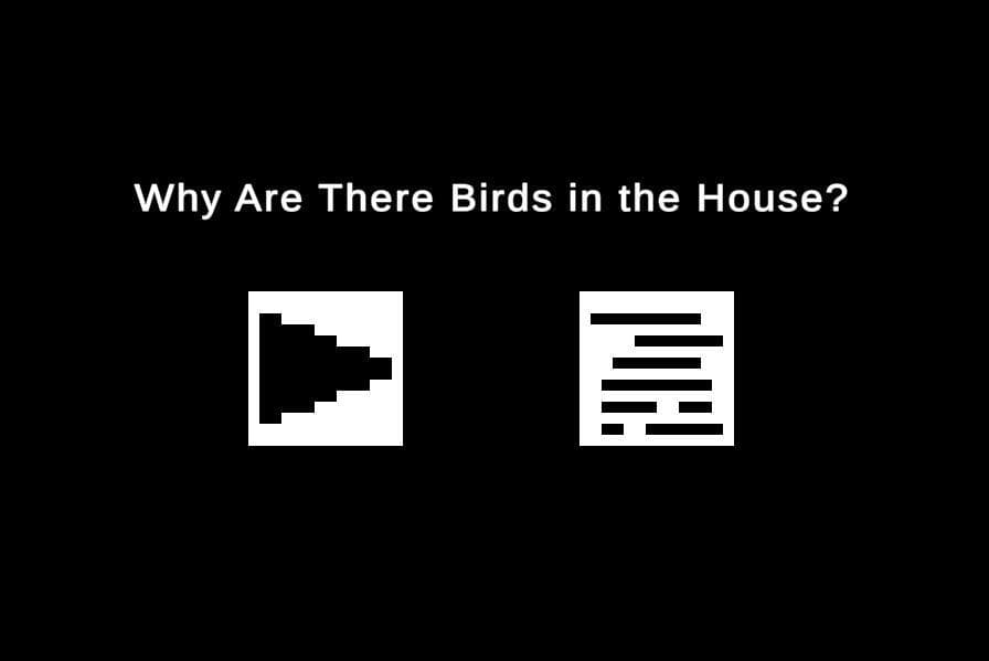 Birds in the House screenshot 2
