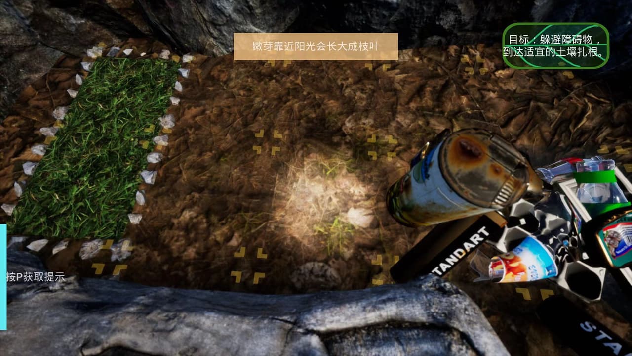 Roots (8E3eGrM) screenshot 5