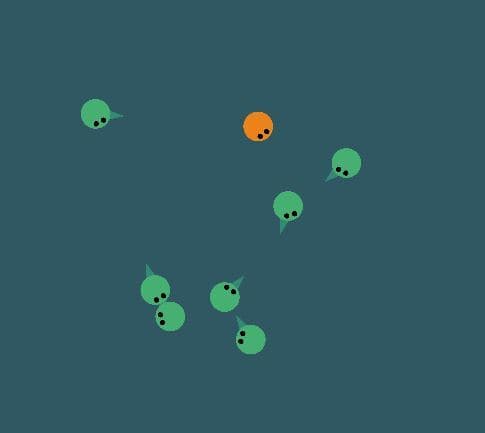 Gerridae