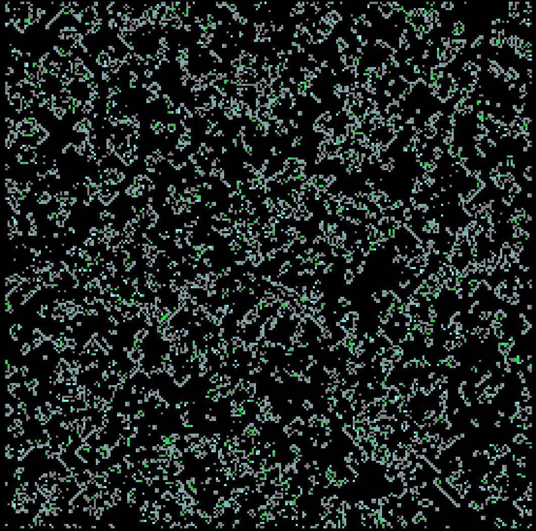 Cellular automata 2020 screenshot 3