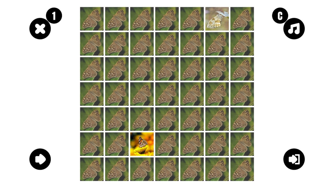 Butterfly couple screenshot 4